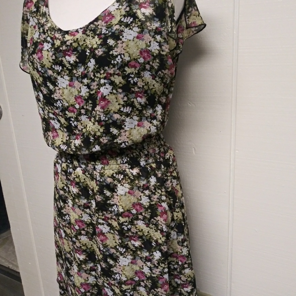 Express Dress - Picture 4 of 6